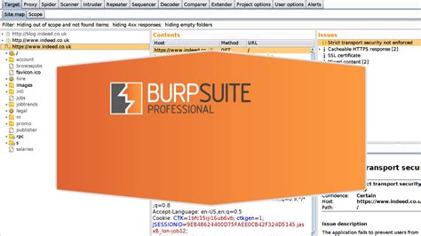 Toradh íomhá ar Using Burp Suite for Pentesting