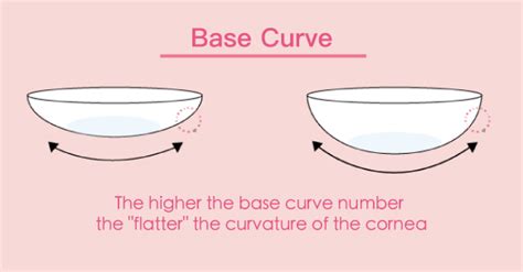 Base Curve Chart に対する画像結果