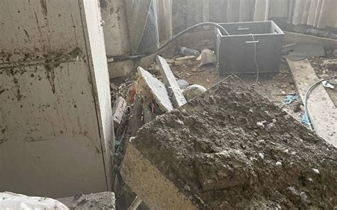 Afbeeldingsresultaten voor Cleaning the Pigeon Loft