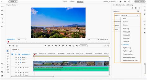 Visual Grading Input에 대한 이미지 결과