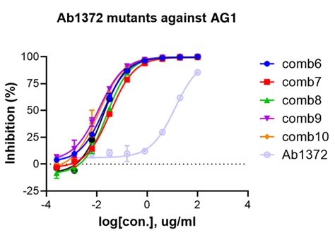 Afbeeldingsresultaten voor Affinity Maturation Method