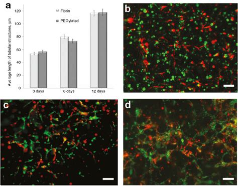 Afbeeldingsresultaten voor Silicone Hydrogel and Microfluidic