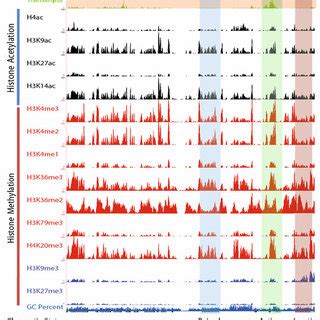 Image result for Histone Modification Map