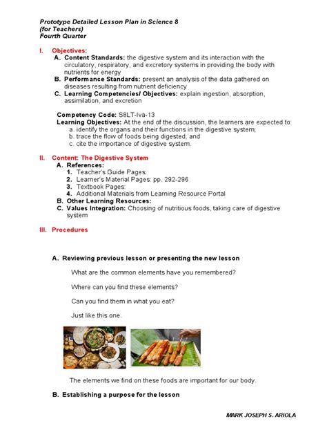 Image result for Human Digestive System Lesson Plan