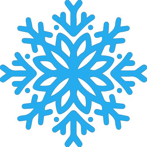 Image result for Snowflake Micrograph