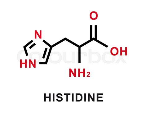 Afbeeldingsresultaten voor Histone Structure Histidine