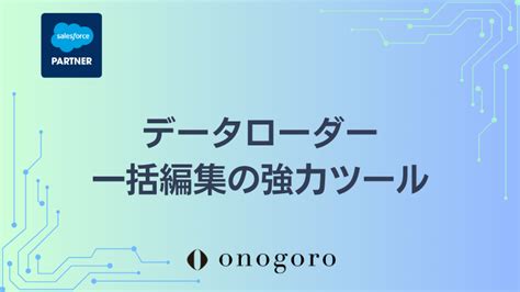 Data Loader Salesforce に対する画像結果