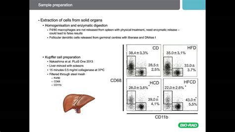 Image result for Flow Cytometry Sample Preparation