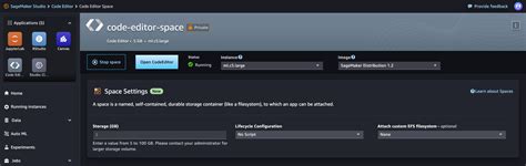 Image result for Sagemaker Code Editor