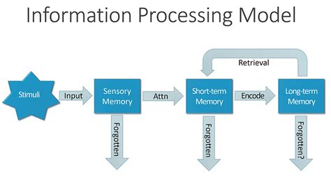 Image result for Detailed Information Processing Model