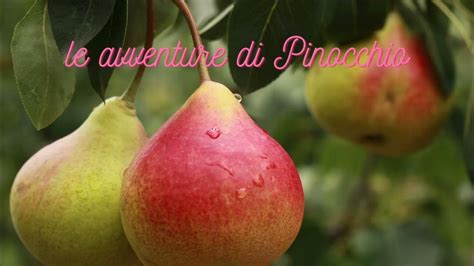 Toradh íomhá ar Pinocchio Parte 7