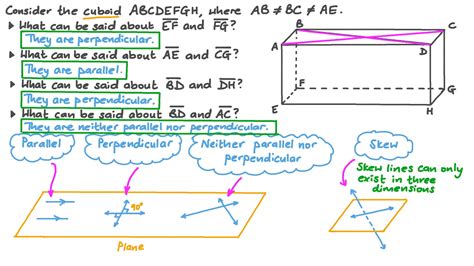 Image result for Parallel Line Segment in Real Life