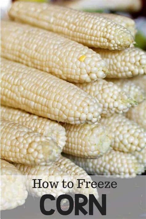 Image result for Blanche Corn to Freeze
