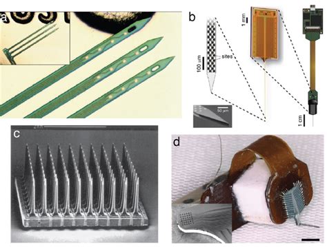 Image result for Michigan Array