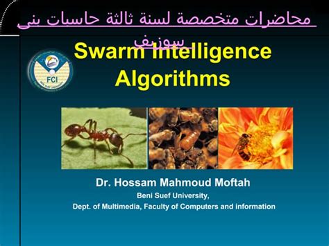 Image result for Algorithm Design Swarm Intelligence Garphic