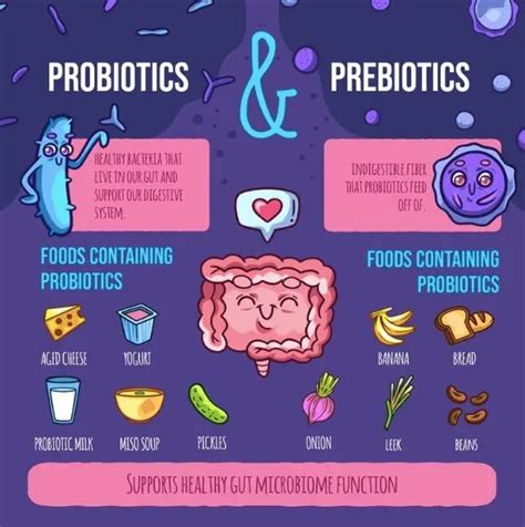 Image result for What Are Probiotics