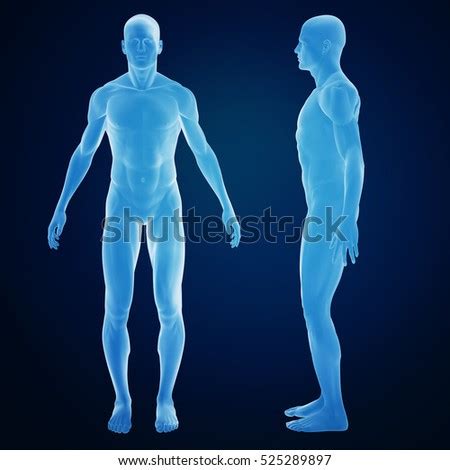 Modern Web Image for Body に対する画像結果