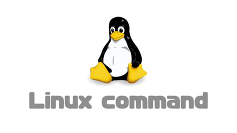 Linux Commands Pics に対する画像結果