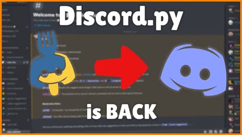Discord.py Cool Down に対する画像結果