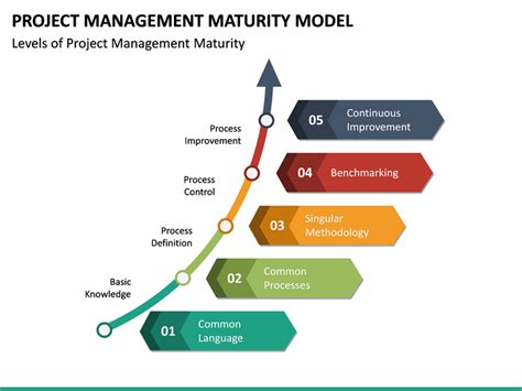 Image result for Project Maturity Model Developed