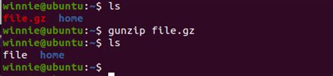 Image result for Gzip File Gunzip
