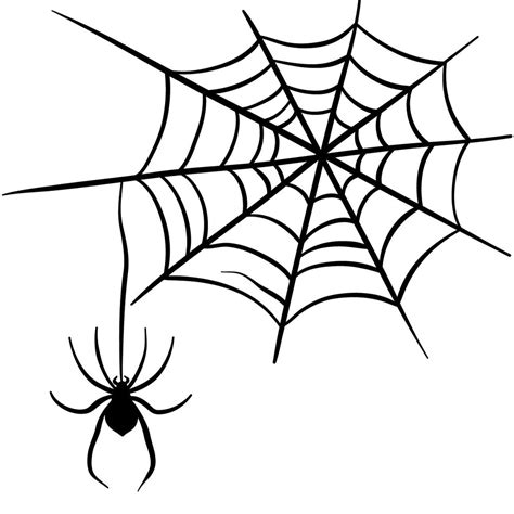 Image result for Spider Web Drawing