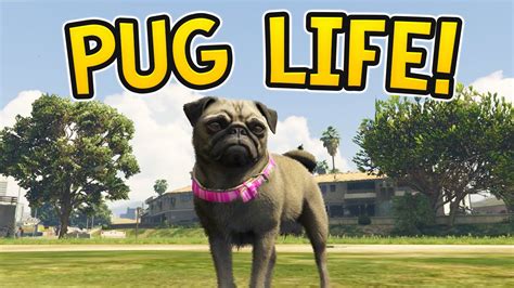 Toradh íomhá ar Youtube.com GTA 5 Funny Moments