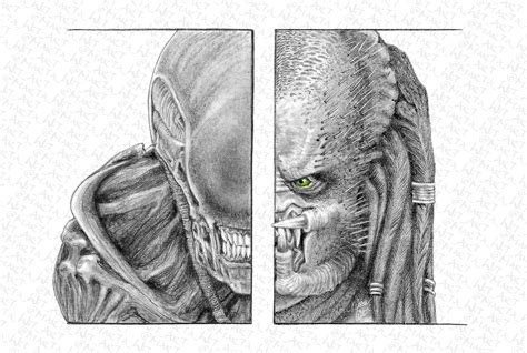 Alien and Predator Drawing に対する画像結果