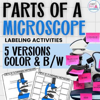 Image result for Microscope Diagram Worksheet
