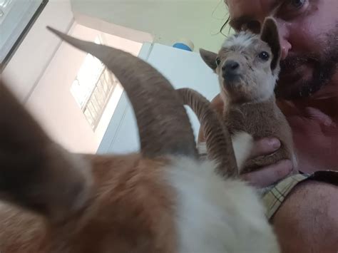 Side Pr File Kid ಗಾಗಿ ಇಮೇಜ್ ಫಲಿತಾಂಶ