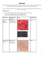 Representation Course Guide に対する画像結果