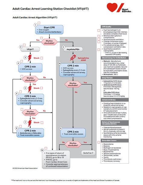 Image result for ACLS Stroke Algorithm 2025