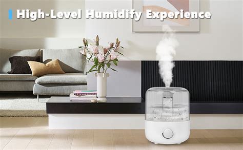 Toradh íomhá ar Single Room Humidifiers