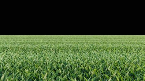 Image result for 2D Grass with Cactus Texture