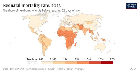 Neonatal Mortality Rate Formula に対する画像結果