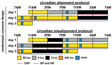 Image result for Circadian Misalignment Examples