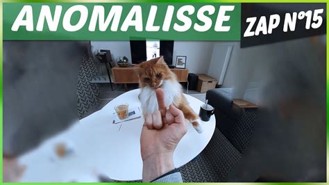 Zap Des Animaux に対する画像結果