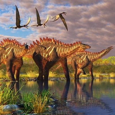 Image result for Mathematical Probability of Evolution Graph