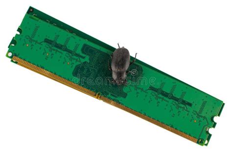 Afbeeldingsresultaten voor Memory Module HP PC