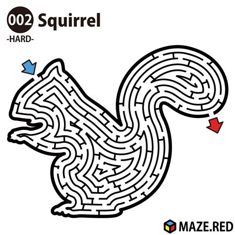 Image result for Squirrel Maze