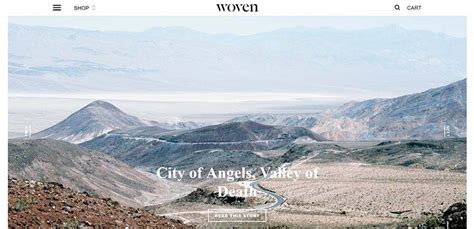 Image result for Website Layout Header Section Design