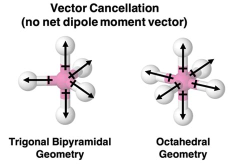 Afbeeldingsresultaten voor Polarity Tutorial
