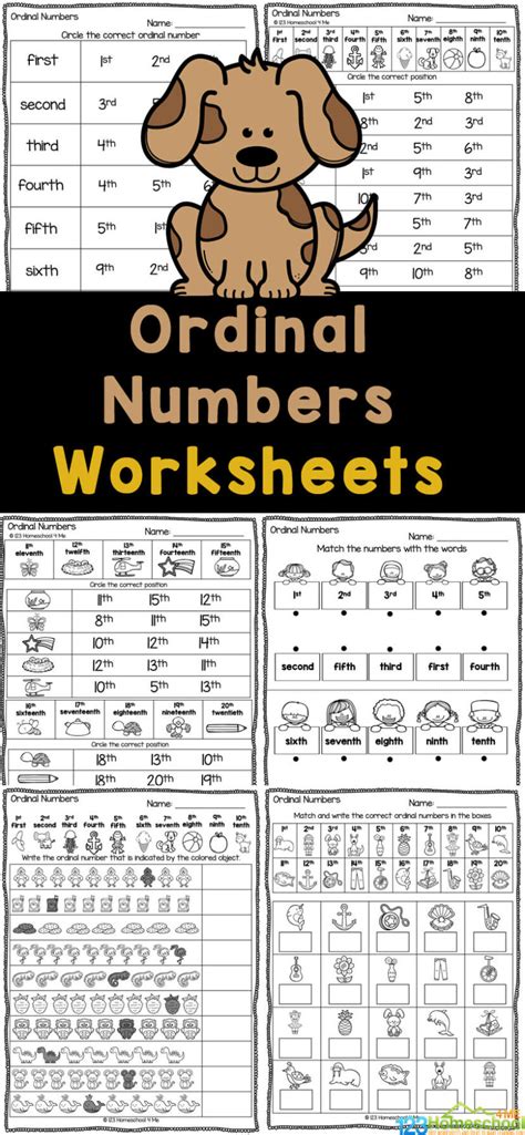 Image result for Ordinal Numbers Worksheet for Class 1