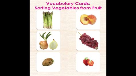 Image result for Sorting Objects Vocabulary Card