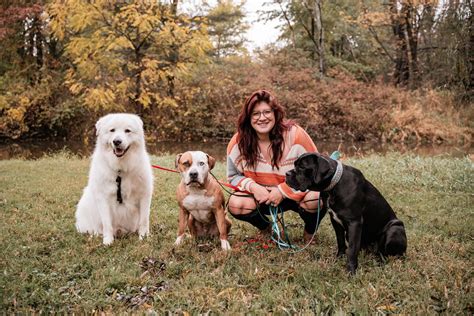 Toradh íomhá ar How to Cook a Dog