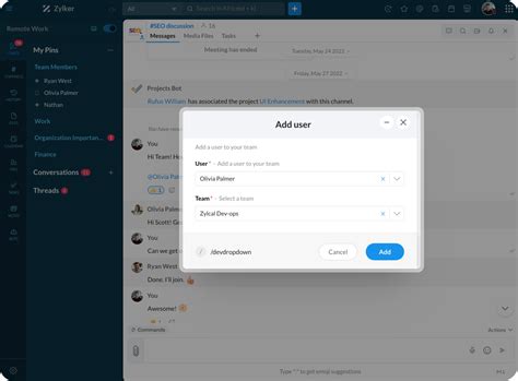 Image result for Developer Drop Down