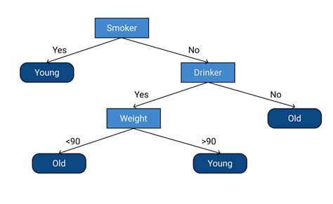 Image result for Decision Tree Classifier in Machine Learning