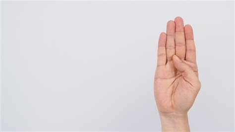 Image result for Sign Language B Human Hand
