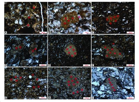 Toradh íomhá ar Powder Evenly Distributed