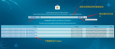 Toradh íomhá ar Ms-Appx-Web